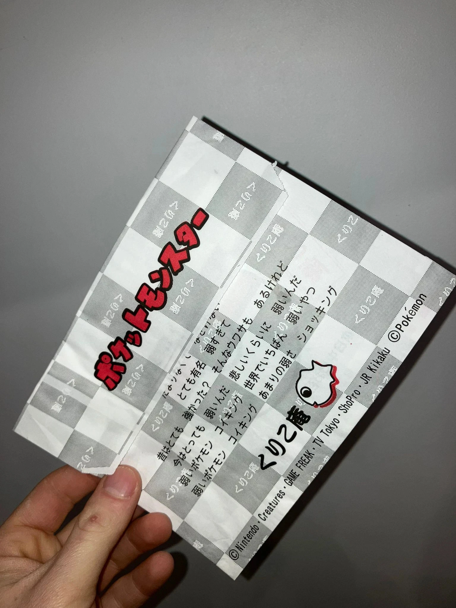 Sac de rangement Pokémon Jap – photo 2